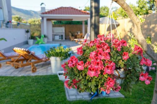 Villa Petra