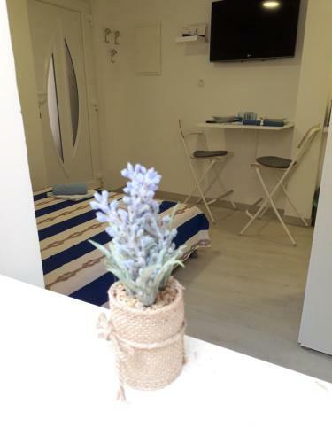 Studio Apartman Dvor