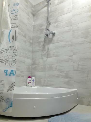 Studio Apartman Dvor