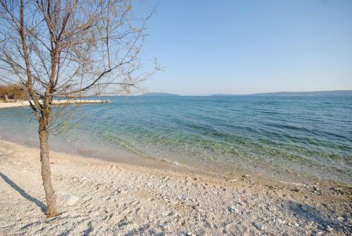 Spacious Apartment Antea