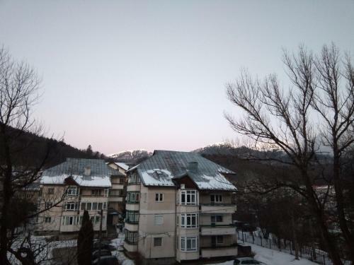 Apartamentul Brandusa