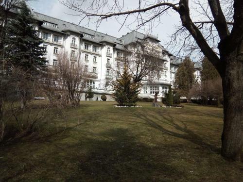 Apartamentul Brandusa
