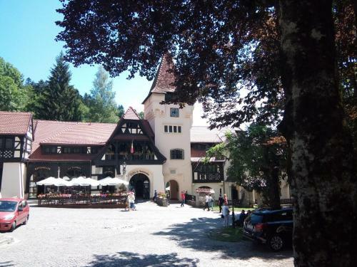Apartamentul Brandusa