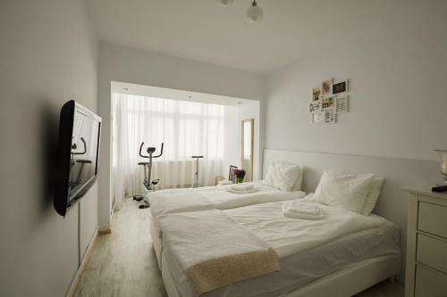 Vama Apartment