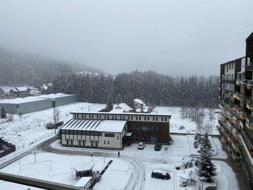 Apartamento Bucegi View 39 - Colina Marei