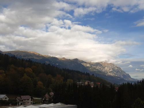Apartamento Bucegi View 39 - Colina Marei