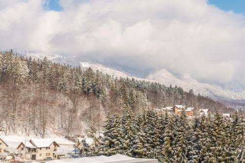 Apartamento Bucegi View 39 - Colina Marei