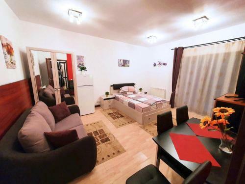 Apartamento Studio Central Sinaia
