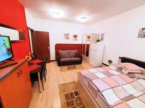 Apartamento Studio Central Sinaia