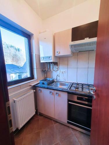 Apartamento Studio Central Sinaia