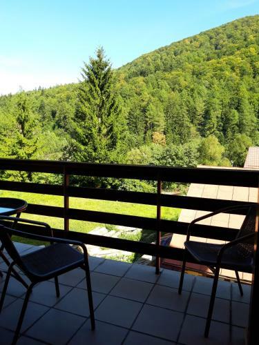 Apartamento Studio Central Sinaia