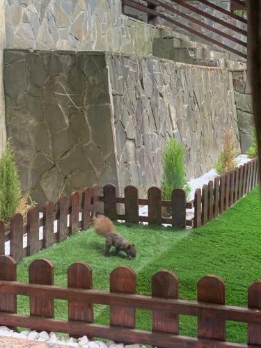 Apartamento Impala - Sinaia