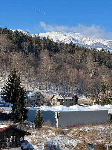 Apartamento Coca Studio Mountain View