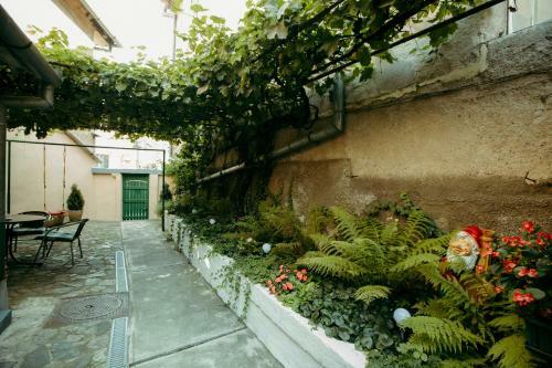 Apartamento Green House Podul Minciunilor