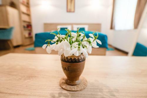 Apartamento Central House Morariu