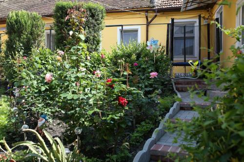 Apartamento Color Home Hermannstadt