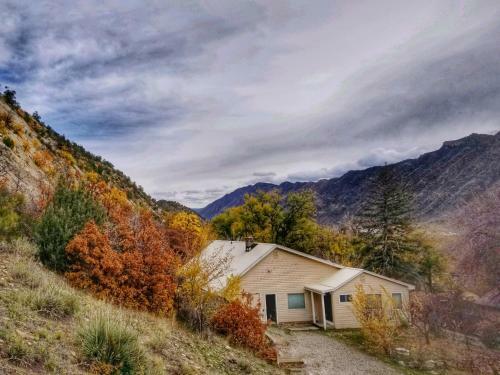 Dwntn 3bd/2ba Cozy Home Ski/hike/climb/hot Springs