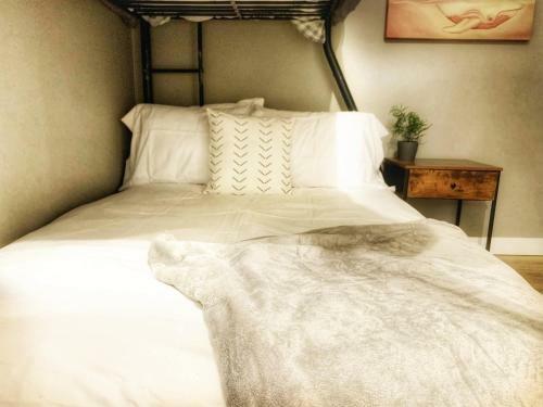 Dwntn 3bd/2ba Cozy Home Ski/hike/climb/hot Springs