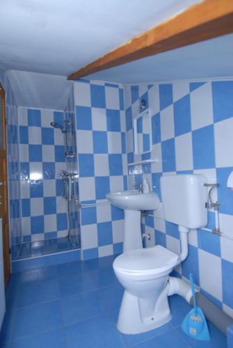 Hostal Pensiunea Padurea Verde