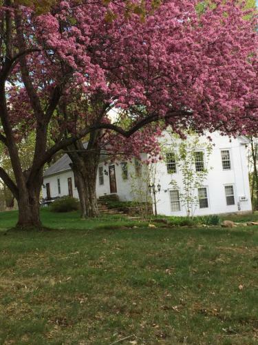 Innkeeper's Place B&B