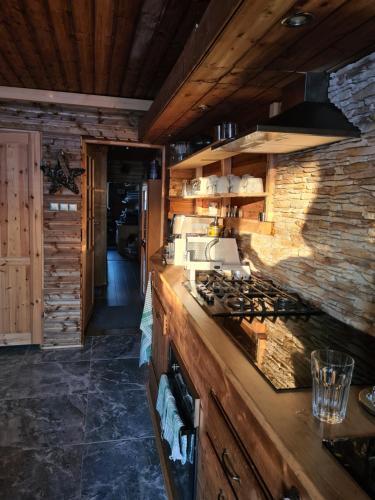 Villa Chalet-beskydy