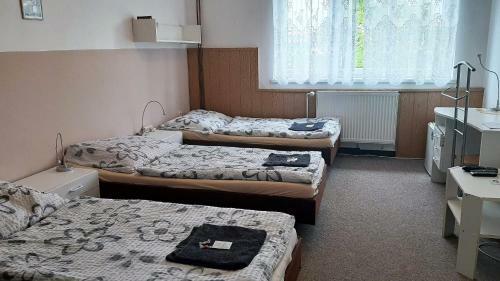 Hostal Penzion Bezd?kov