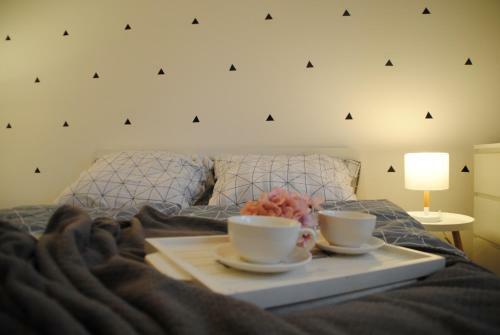 Apartm�n U Lesa