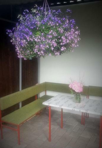 Apartamento Relax U Lesa