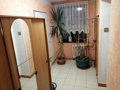 Apartm�ny ?edek