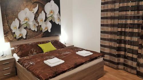 Apartm�n ?�?ky "ma?inka 201"