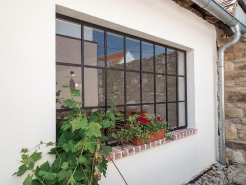 Apartamento Penzion Andel ?atov