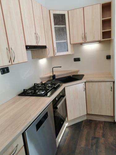 Apartamento Slan� - Byt 1+1