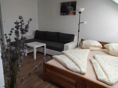 Hostal Penzion Levandule A Palava
