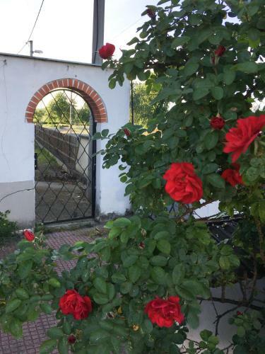 Apartamento Ubytov�n� Fish-com