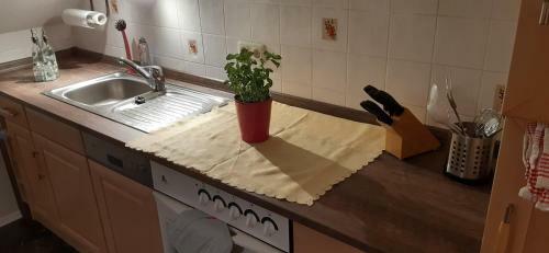 Apartamento Ferienwohnung Zum Sauberg Blick