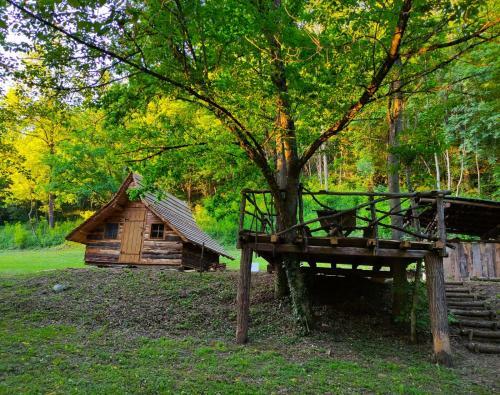Kolibe - Robinson Camp Kupa