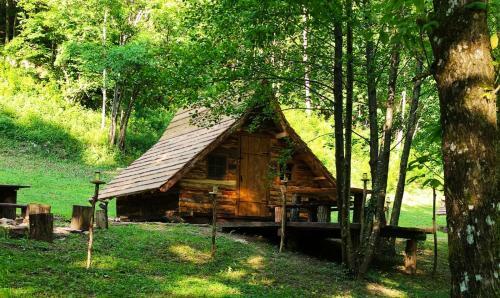 Kolibe - Robinson Camp Kupa