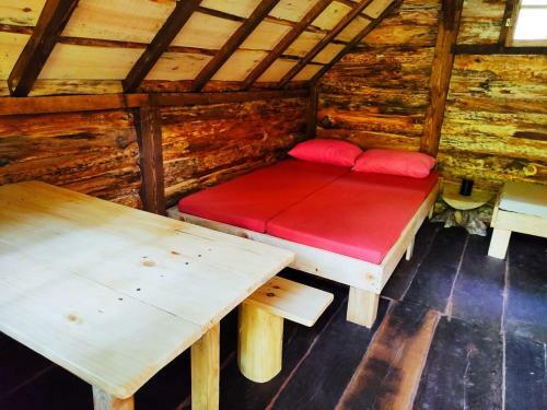 Kolibe - Robinson Camp Kupa