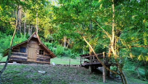 Kolibe - Robinson Camp Kupa