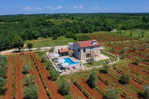 Villa Relax House Surrounded By Olives And Vineyard