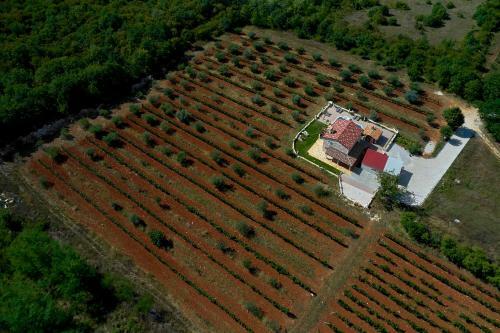 Villa Relax House Surrounded By Olives And Vineyard