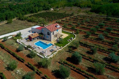 Villa Relax House Surrounded By Olives And Vineyard