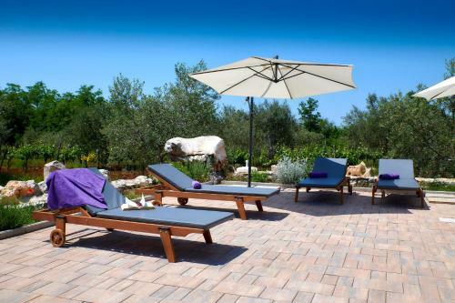 Villa Relax House Surrounded By Olives And Vineyard