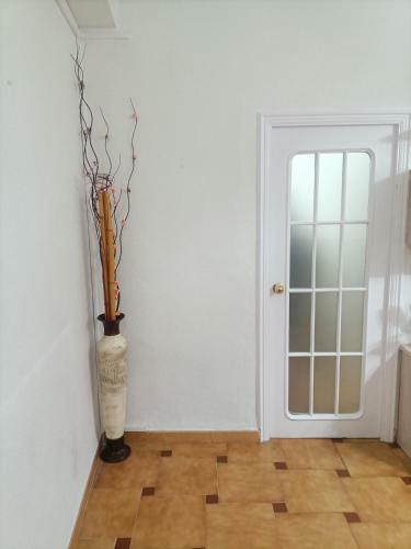 Apartamentos San Ant�n 2