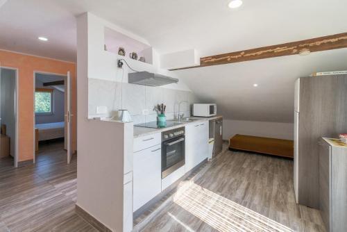 Apartments With A Parking Space Krusevo, Novigrad - 16581
