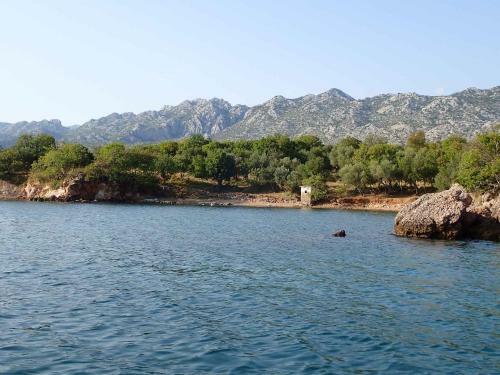 Apartments Seline/paklenica Riviera 34217