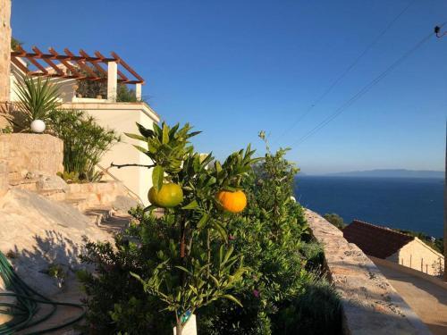 Apartamento Zavala-lighthouse