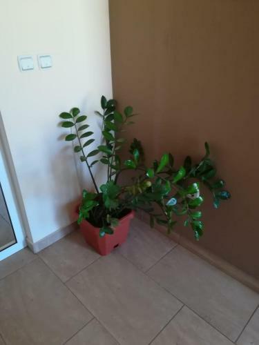 Apartamento Laura