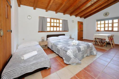 Apartman Pjer 1