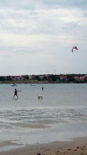 Apartman Sunce